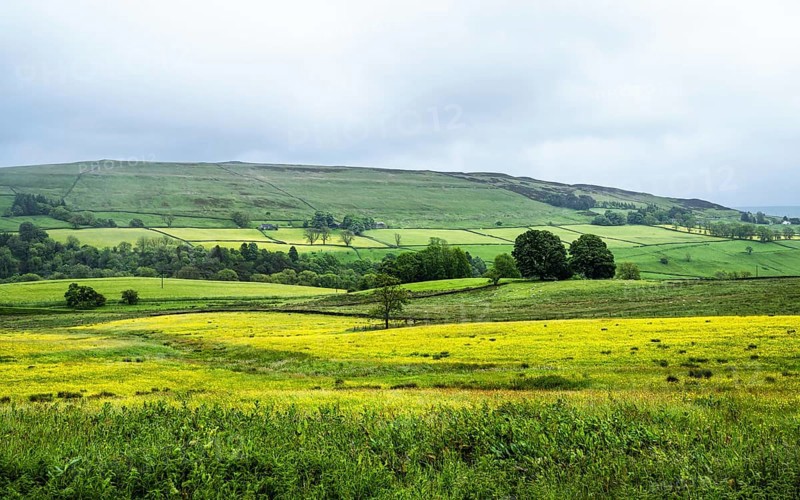 Farms over North Pennines, Cumbria, Durham, Northumberland, North Yorkshire, England, United Kingdom, Europe