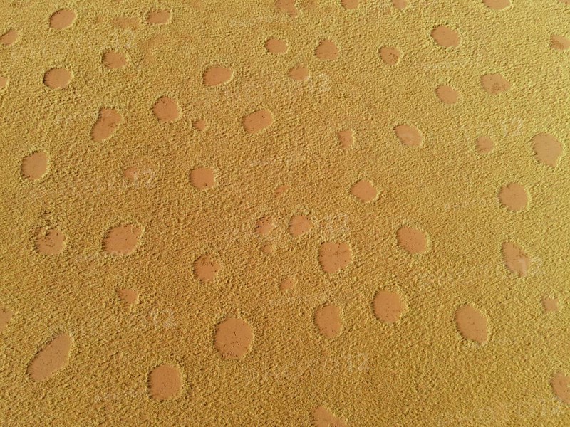 Fairy circles in the Giribisvlakte, aerial view, near Tomakas, Kaokoveld, Kunene Region, Namibia, Africa
