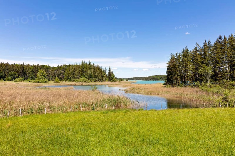 A calm lake surrounded by trees and meadows under a clear blue sky, Osterseen