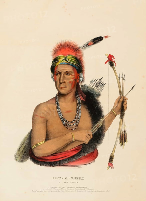 Pow-A-Sheek. A Fox Chief (1838), Indians, Historical Indian Tribes from North America, Charles Bird King (1785, 1862), Historical, digitally restored reproduction from a 19th century original, Record date not stated