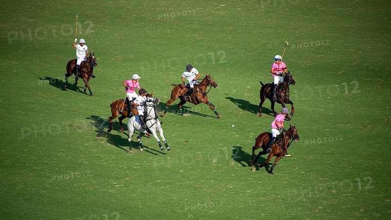 Scene from the 131st Argentine Open Polo Championship (Spanish: Campeonato Argentino Abierto de Polo), the most important international polo tournament, match La Hache Polo Team (white) against Indios Chapaleufú (pink), on 16 November 2024, Palermo, Buenos Aires, Argentina, South America