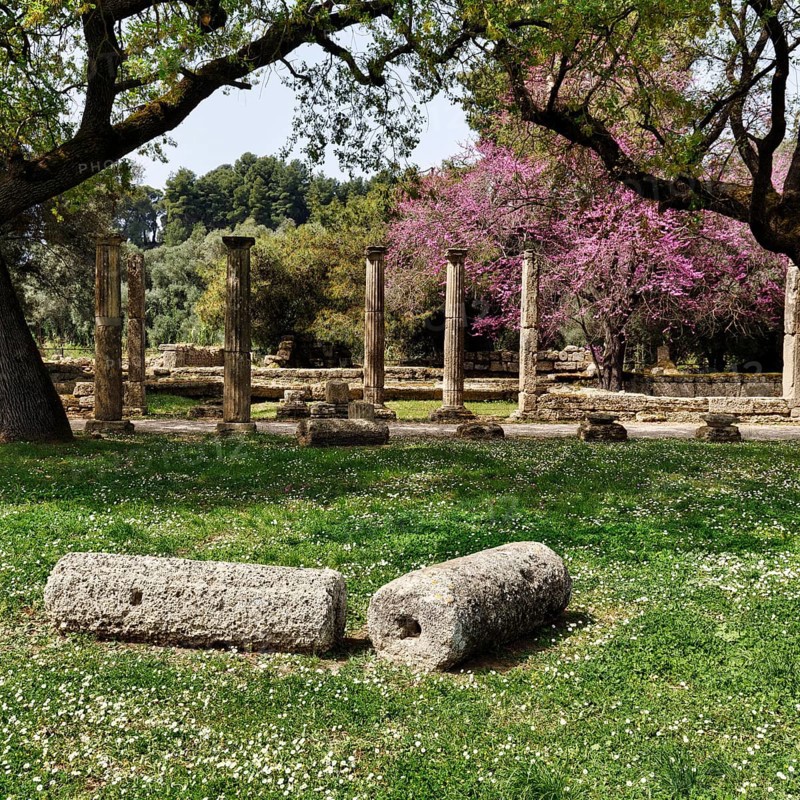 Palaestra, restored ruins, columns, blossoming trees in spring, ancient Olympia, archaeological site, sanctuary of Zeus, UNESCO World Heritage Site, Elis, Peloponnese, Greece, Europe