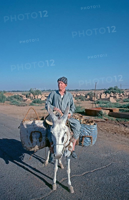 Elderly man on donkey, tourism centre Mut 3, main town El-Qasr of the oasis ad-Dachla, Libyan Desert, Egypt, September 1989, vintage, retro, old, historical, Africa