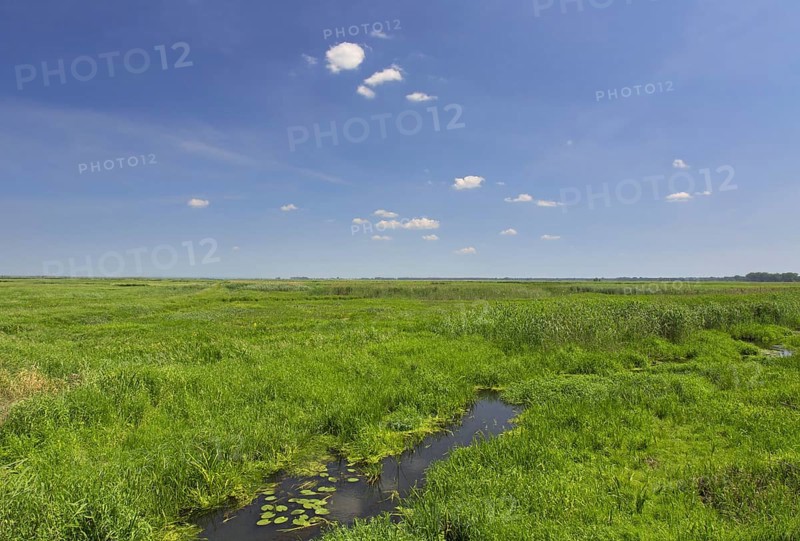 Uj? cie Warty National Park, Warta River-Mouth National Park, Lubusz Voivodeship, Lubusz Province, Poland, Europe
