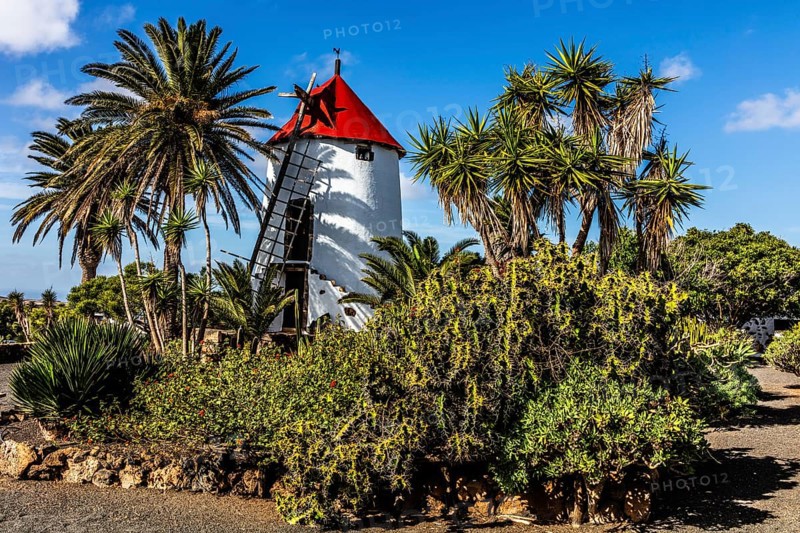 2016, Tiagua, Lanzarote, Farm Museum El Patio, Tiagua, ESP, Spain, Canary Islands, Canary Islands, Atlantic Ocean, Lanzarote, biosphere reserve, volcano, volcanism, agricultural museum, open-air museum, volcanic island, island, recording date, Europe