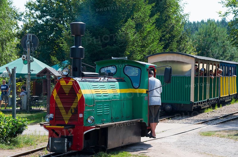 A train with people in the wagon stands at a small, rural railway station, diesel locomotive, Wls 40 type light railway locomotive with additional exhaust attachment, Wigry narrow-gauge railway, Plociczno-Tartak, Suwalki, Podlaskie, Poland, Europe