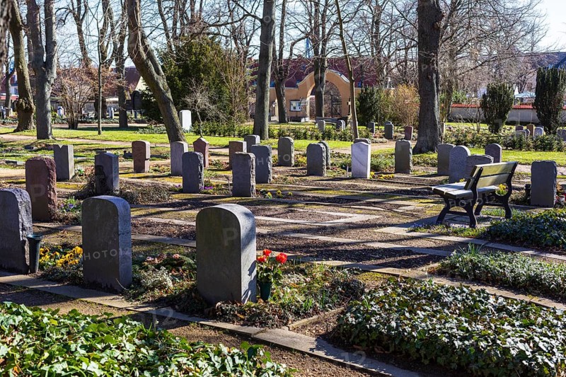 The first spring flowers appear on the graves, Alleestraße cemetery, Riesa, Saxony, Germany, Europe