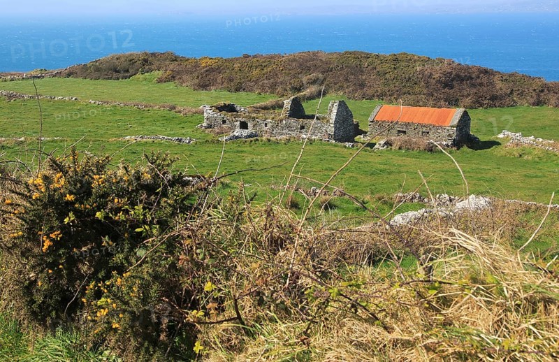 Abandoned ruined croft building on west coast of Cape Clear Island, County Cork, Ireland, Irish Republic, Europe