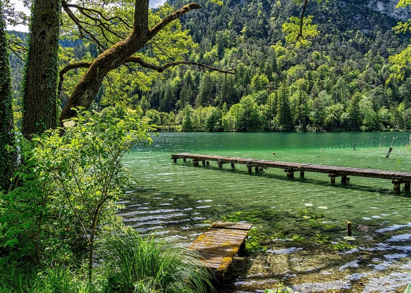 Landscape at Lake Thumsee, Bad Reichenhall, Bavaria, Germany, Europe