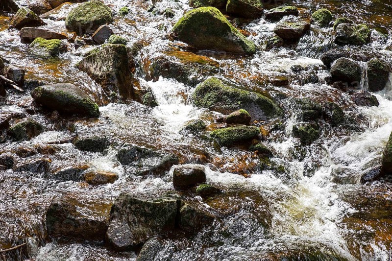 Fresh water of the Ilse, waterfalls in the Ilse valley, Ilsenburg, 22/08/2014, Ilsenburg, Germany, Europe