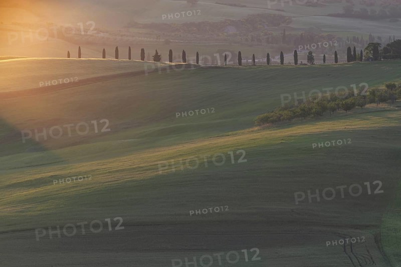 Landscape at sunrise around Pienza, Val d'Orcia, Orcia Valley, UNESCO World Heritage Site, Province of Siena, Tuscany, Italy, Europe