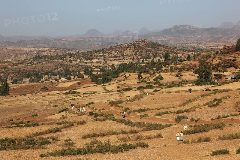 Tigray region, view over a barren landscape between Axum and the border of Eritrea, Ethiopia, Africa