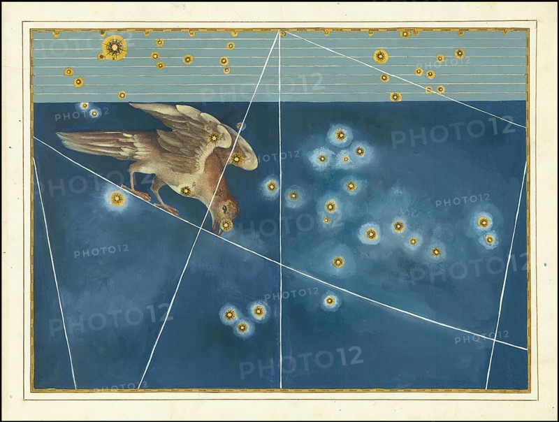 Astronomy. The Celestial Atlas, the Uranometria, Ptolemaic constellations, by Johann Bayer (1572 - 7 March 1625), German astronomer, Corvus, Raven, constellation south of the celestial equator, digitally enhanced reproduction of a historical model