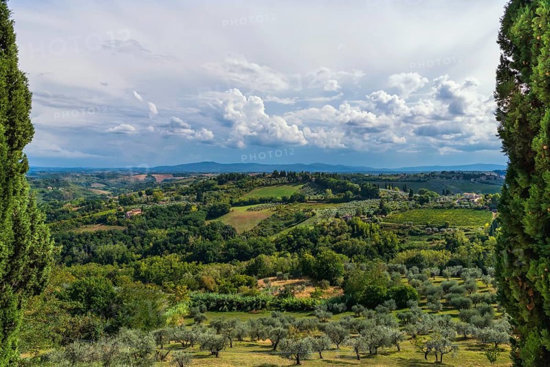 Hilly landscape, cypress (Cupressus), olive, olive tree (Olea europaea), weather, clouds, sky, San Gimignano, tourism, Tuscany, Italy, Europe