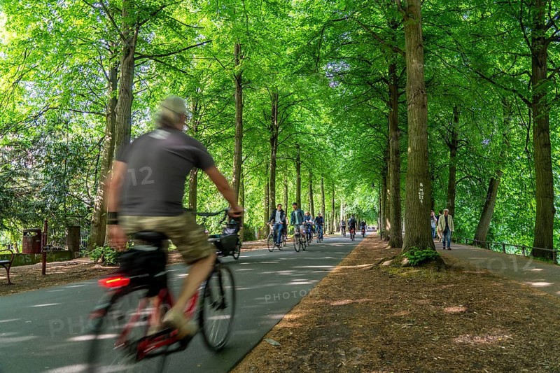 Promenade cycle path, tree-lined, car-free, approximately 4.5 km long ring road around the city centre of Münster, North Rhine-Westphalia, Germany, Europe