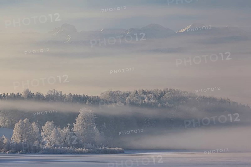 Snow-covered trees and frozen lake in front of mountains, morning light, fog, snow, winter, Riegsee, Alpine foothills, Upper Bavaria, Bavaria, Germany, Europe