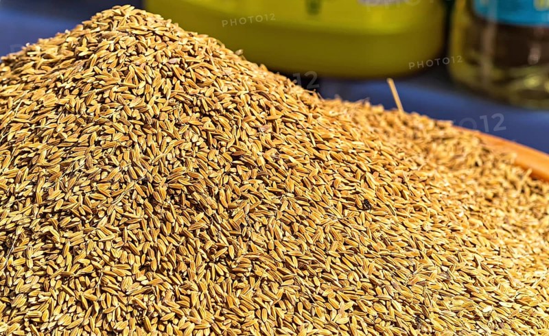 Bunch of unpolished brown rice on the food market