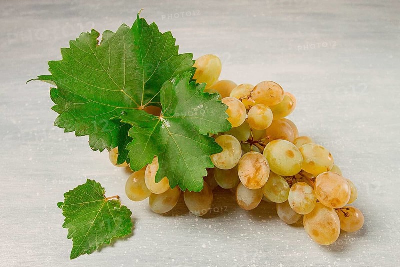 A branch of white grapes with leaves, on the table, top view, close-up, no people