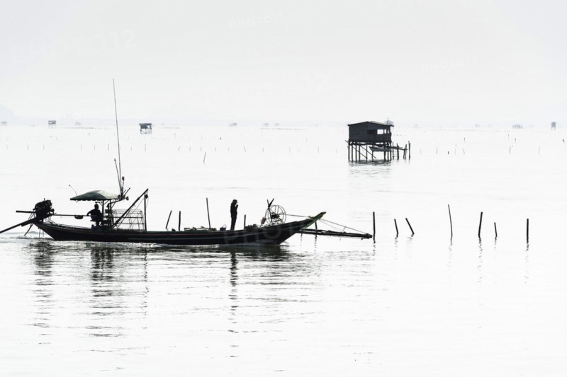 Traditional wooden huts of fishermen in the Gulf of Thailand in the morning haze, fishing boat, fisherman, fishing hut, wooden hut, landscape, southern Thailand, seascape, silhouette, nature, stilt hut, stilt buildings, tradition, traditional, fishing village, water, ocean, calm, work, romantic, monochrome house, accommodation, natural landscape, travel, holiday, coast, hazy, mist, foggy, foggy, tropical, tropics, tourism, cloudy, weather, mood, grey, puristic, visibility, far, far away, Thailand, Asia