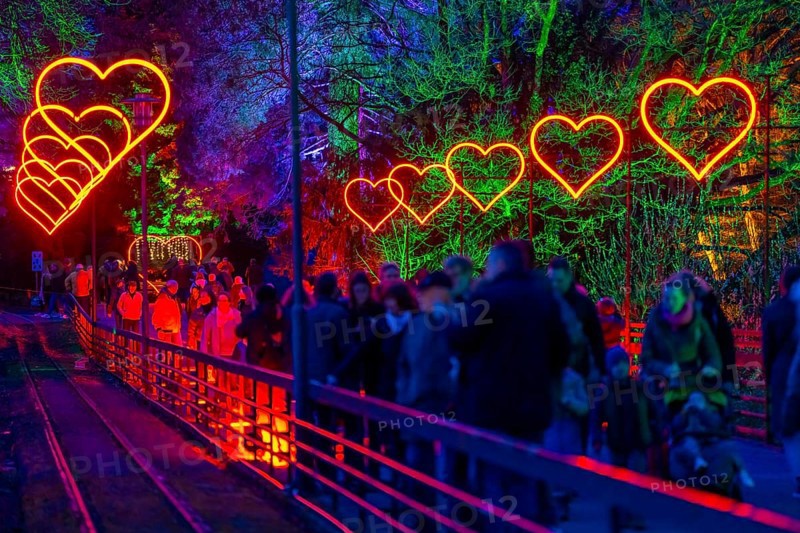 Parkleuchten, event in winter, in the Grugapark in Essen, many different light installations, across the park, attract many thousands of visitors, North Rhine-Westphalia, Germany, Europe