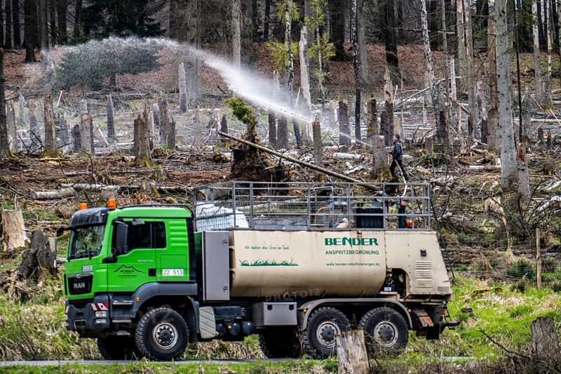 Spraying of a cleared forest area on which spruce trees infested by the bark beetle have died, thus stopping erosion and quickly and effectively establishing plants, the seed is mixed with fertiliser and water and sprayed onto the area at high pressure, near Hirschberg, Arnsberg Forest, North Rhine-Westphalia, Germany, Europe