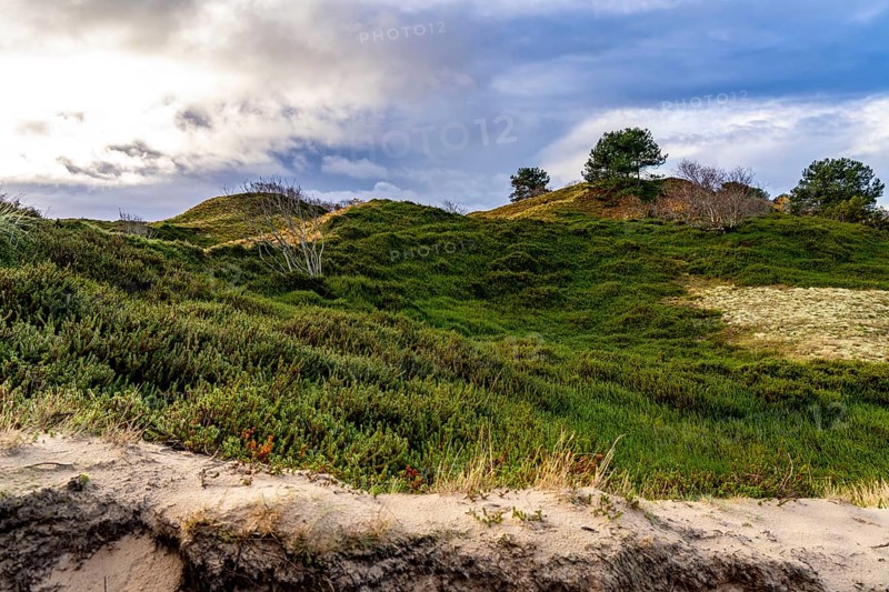 North Sea island of Spiekeroog, East Frisia, Lower Saxony, Germany, dune landscape, in the eastern part of the island, Europe