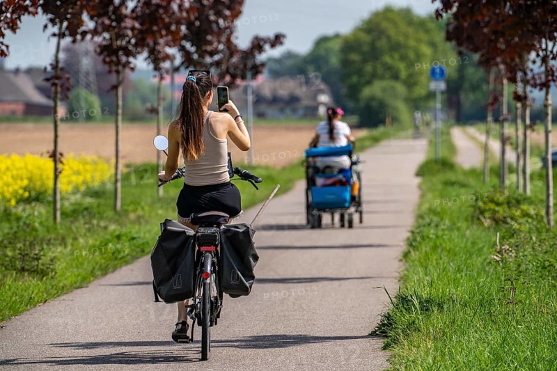 Cyclist on the avenue cycle path between Xanten and Marienbaum, Kalkar, mobile phone photo during the ride, on the Lower Rhine, former railway line, now part of a cycle path network, spring, rape field in bloom, Xanten, North Rhine-Westphalia, Germany, Europe