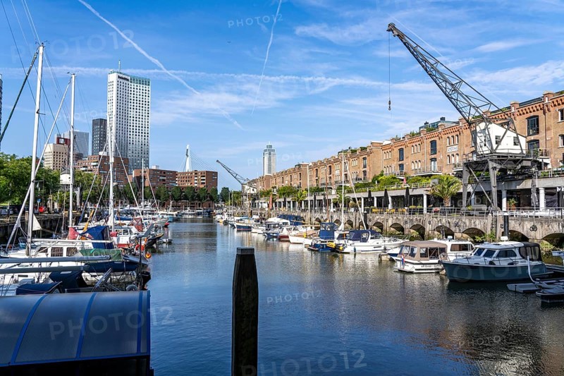 Rotterdam Marina, gastronomy, nightlife district, pleasure craft harbour, sailing boats, motor yachts, in the inland harbour, Feijenoord district, Rotterdam, Netherlands
