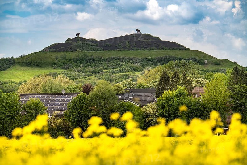 Rungenberg slag heap in the Buer district, night sign light installation, rape field, Gelsenkirchen, North Rhine-Westphalia, Germany, Europe