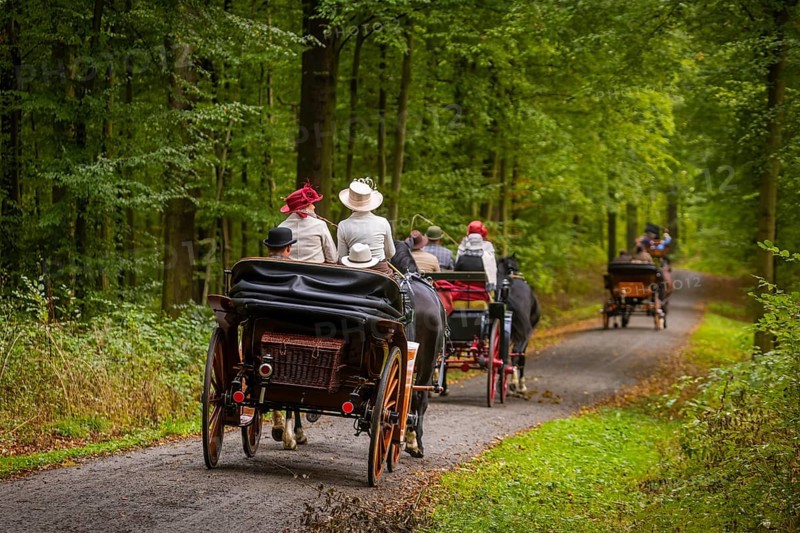 Presentation and route ride, all carriages in stylish tension, popular sporting event over approx. 30 km. An event organised by Reit- und Fahrverein Moritzburg e.V., 29th Moritzburger Teichrundfahrt, Moritzburg, Saxony, Germany, Europe