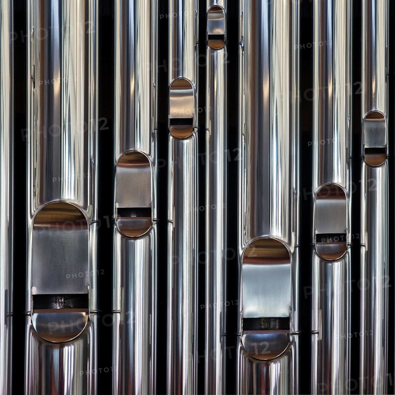 Open labial pipes, organ pipes, detail, Cathedral, Cathedral Church of St. Blasii in Braunschweig, Lower Saxony, Germany, Europe