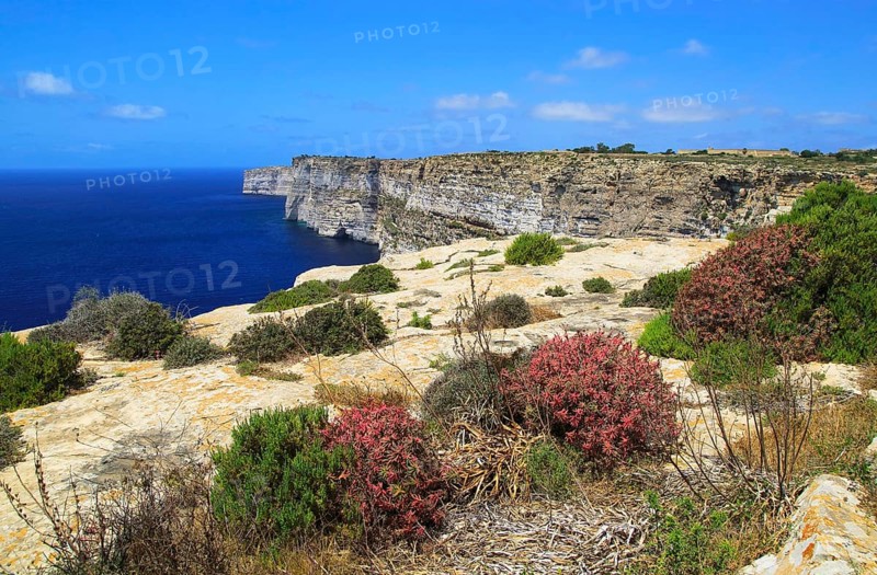 Coastal clifftop landscape view westwards at Ta' Cenc cliffs, island of Gozo, Malta, Europe