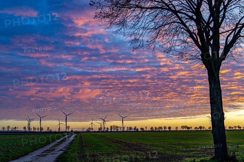 Wind farm near Holzweiler, town of Erkelenz, wind power plants, North Rhine-Westphalia, Germany, Europe