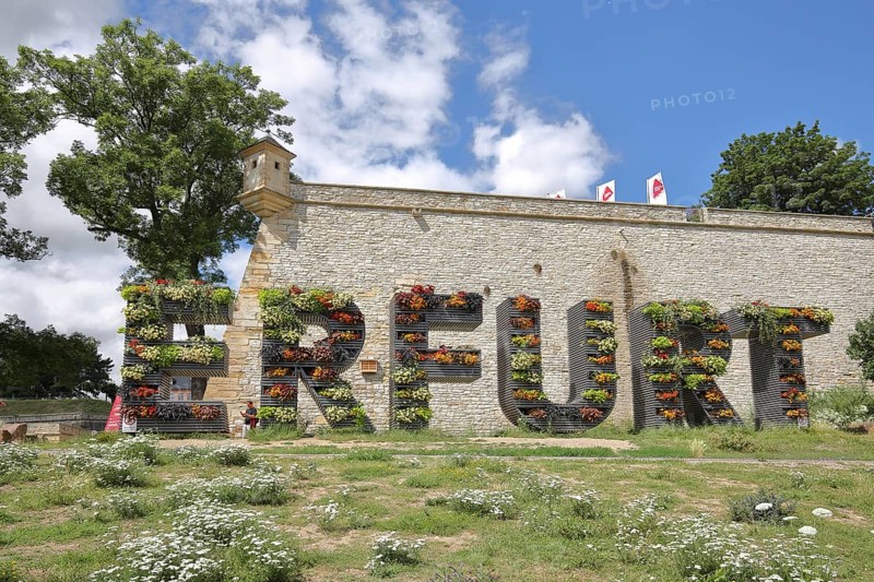 Font Erfurt with planting, greening, vertical garden, nature, green, guardhouse, guardhouse, bastion, citadel, Petersberg, Erfurt, Thuringia, Germany, Europe