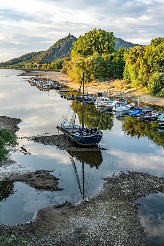 The Rhine at extremely low water, near Bad Honnef Rhöndorf, below the Drachenfels, the historic Rhine ship, Aalschokker Aranka, in the Old Rhine arm, on the island of Grafenwerth, dry banks of the Rhine, North Rhine-Westphalia, Germany, Europe