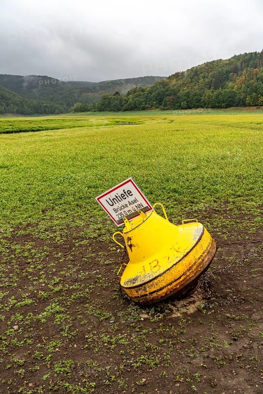 Lake Edersee, near Waldeck, the third largest reservoir in Germany, is currently only 13% full, the lake was last full in May 2022, dried out due to lack of rain, the lake shore and the lake bed is overgrown with fresh grass, Asel-Süd, Hesse, Germany, Europe