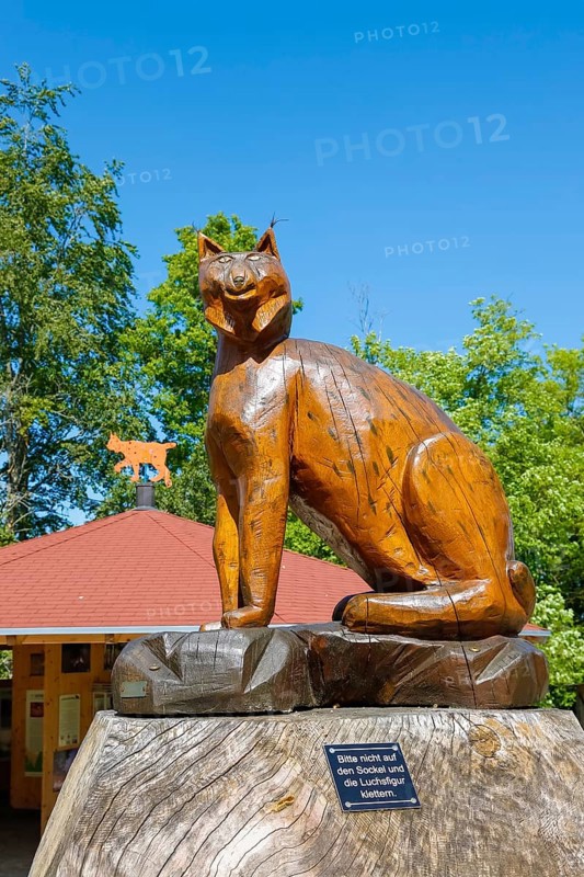 Lynx figure, wooden sculpture, lynx station, replica, big cat, lynx info point at the car park at Wildenstein Castle, pavilion at the back, Leibertingen-Wildenstein, Baden-Württemberg, Germany, Europe