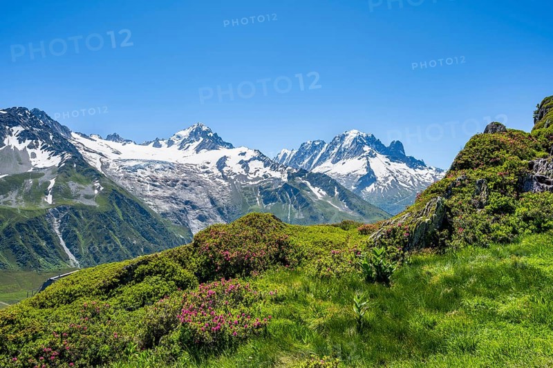 Mountain panorama with glaciated mountain peaks, Aiguille Verte and Glacier du Tour, hike to Aiguillette des Posettes, Chamonix, Haute-Savoie, France, Europe