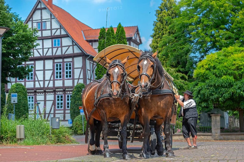 Horse-drawn carriage in front of Prinzenhof Rinteln Germany