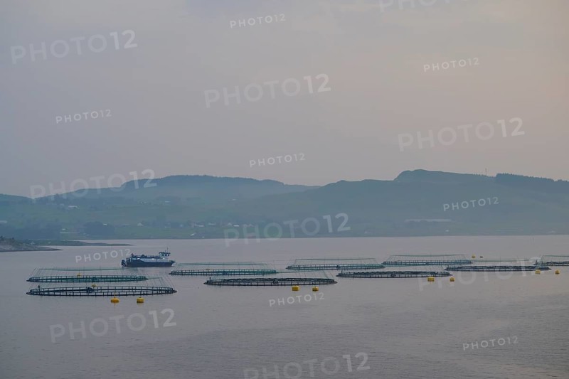 Quiet sea fish farm, salmon farming, Bergen, North Sea, Norway, Europe