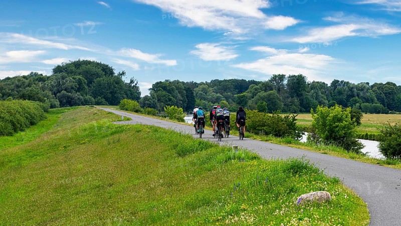 Cyclist on a cycle path by the river, landscape in the Lower Oder Valley National Park, Criewen, Brandenburg, Germany, Europe