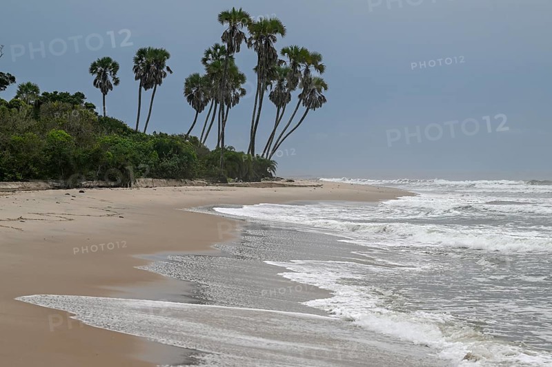 Beach, Petit Loango, Loango National Park, Parc National de Loango, Ogooué-Maritime Province, Gabon, Africa
