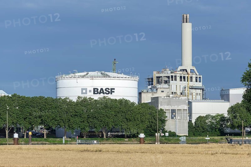 BASF, Lugwigshafen am Rhein, industrial area, Felder, Mannheim, Baden-Württemberg, Germany, Europe