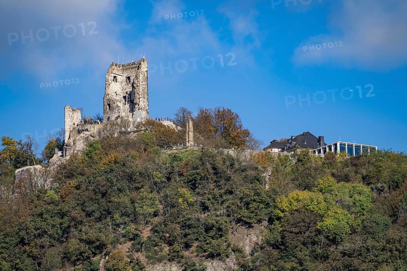 Drachenfels, a mountain in the Siebengebirge on the Rhine between Bad Honnef and Königswinter, with Drachenfels castle ruins, Drachenfelsplateau, North Rhine-Westphalia, Germany, Europe