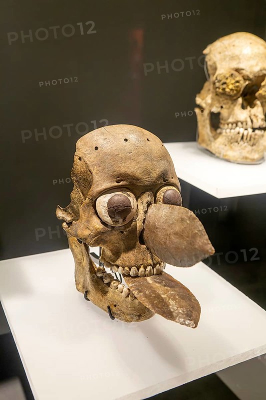 Human skull masks, archaeological site and museum of Templo Mayor, Mexico City, Mexico, Central America