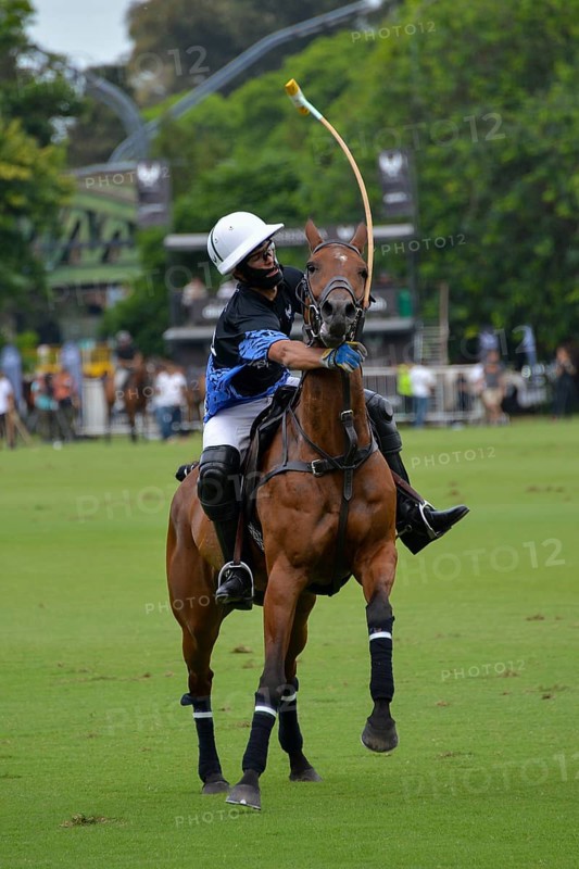 Scene from the 131st Argentine Open Polo Championship (Spanish: Campeonato Argentino Abierto de Polo), Juan M. Zubia from team Cria la Dolfina in the match against La Ensenada, on 2 November 2024, Palermo, Buenos Aires, Argentina, South America