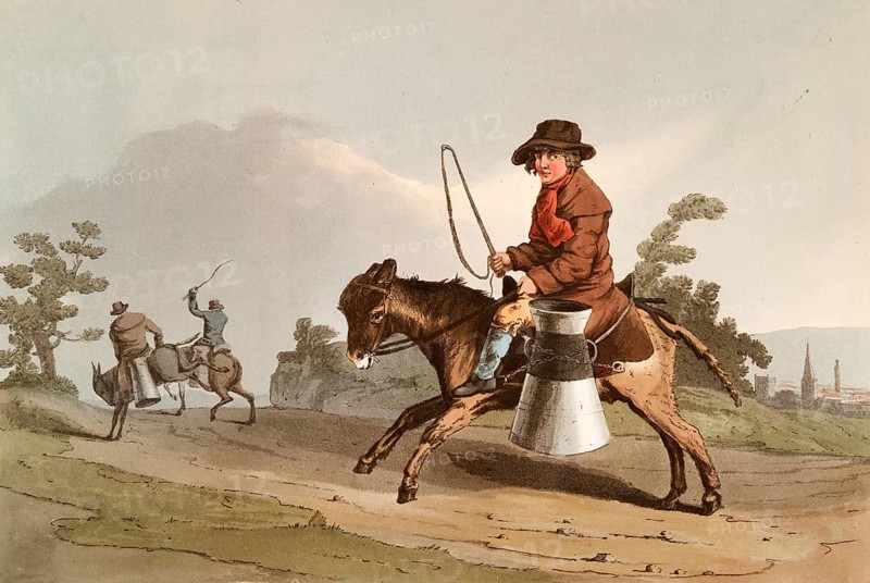 Scene from everyday life in England around 1810, boy transporting milk in a can on a donkey, milk boy, historical, digitally restored reproduction from a 19th century original, date unknown