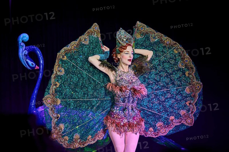 Pompously dressed young lady at a gala ball during a performance (Great Gala-Dinner-Show), carnival, venice