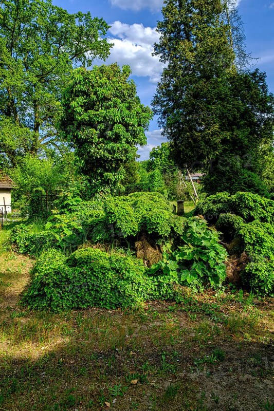 Cemetery idyll, historic Protestant cemetery of Pokoj, Namyslow District, Opole Voivodeship, Upper Silesia, Poland, Europe