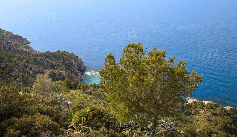 Landscape, vegetation on the north-west coast, Majorca, Balearic Islands, Spain, Europe